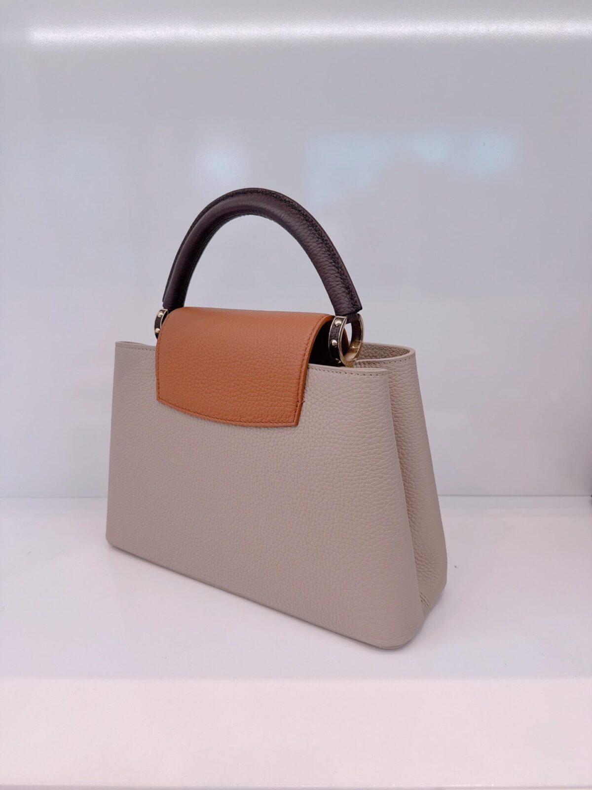TRICOLOR TAURILLON LEATHER CAPUCINES MM BAG
