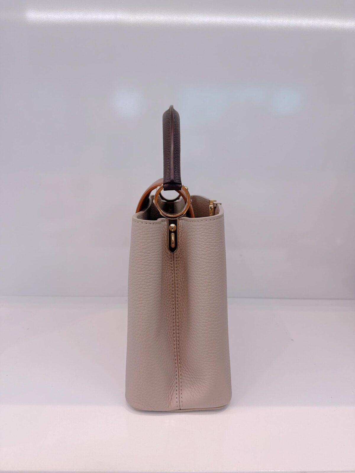 TRICOLOR TAURILLON LEATHER CAPUCINES MM BAG
