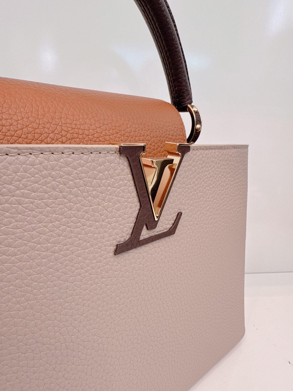 TRICOLOR TAURILLON LEATHER CAPUCINES MM BAG