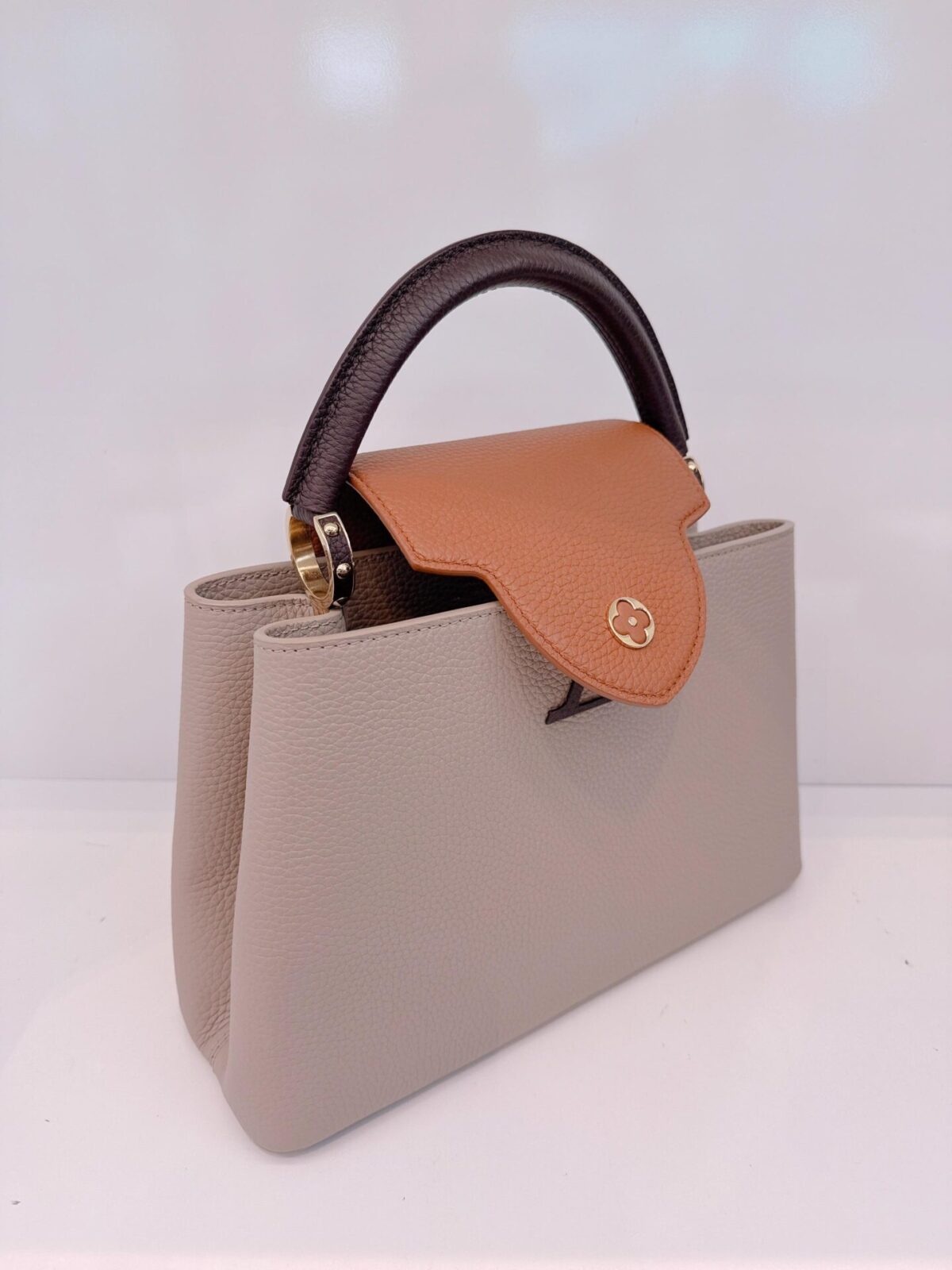 TRICOLOR TAURILLON LEATHER CAPUCINES MM BAG